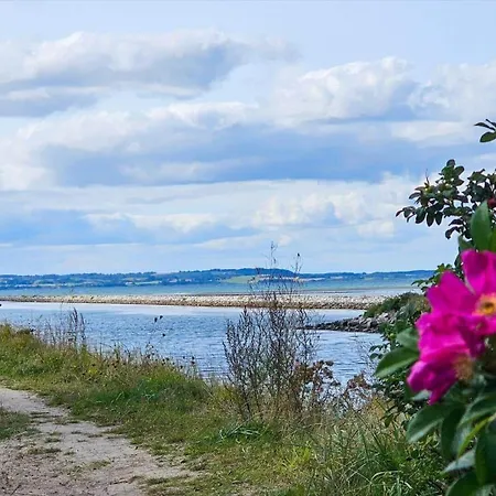 Σπίτι διακοπών 84235-ebeltoft-oreflak-63-a